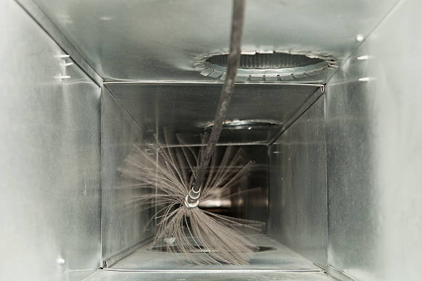 Best Affordable Air Duct Cleaning  in Ripley, WV