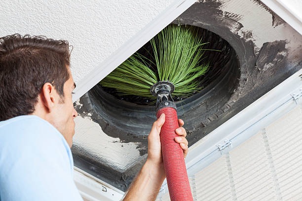 Best Affordable HVAC Duct Cleaning  in Ripley, WV